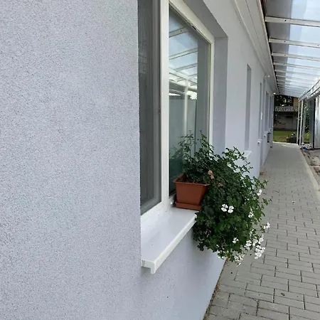 Caesar Mit Terrasse Und Guenstiger Lage In Apartment *